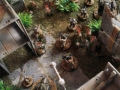 JunglePatrol01