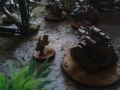 fuhrpark1