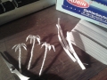 palme1