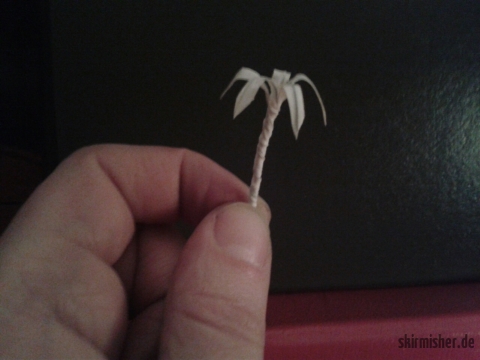 palme2