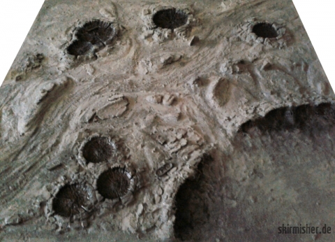 moonplatte34.jpg