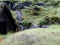 langhaustitel1