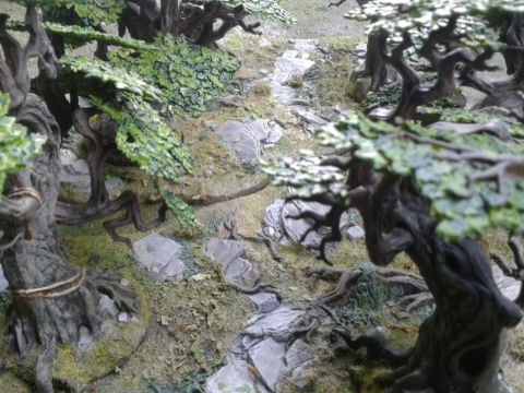 cwoods1