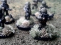 NeoPol02
