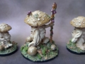 fungi2