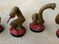 leeches