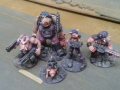 pigs1
