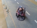 pigs2