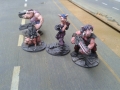 pigs3