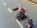 pigs5
