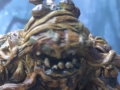 swampface