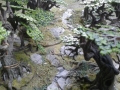 cwoods1