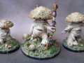 fungi1