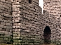 modburg54