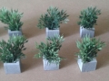 planter08