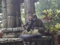 simians2