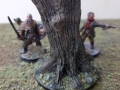tree10