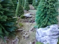 wald5