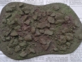 difgrou4