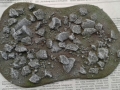 difgrou5