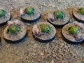 frogs2