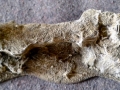 Bridgerock (nach 2. Trockenbürstung)