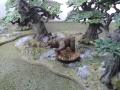 cwoods10
