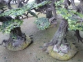 cwoods3