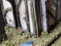 gbmanor28