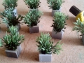 planter07