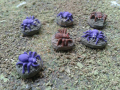 spiders2