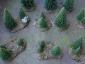 wald1