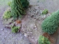 wald2