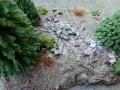 wald4