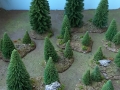 wald7